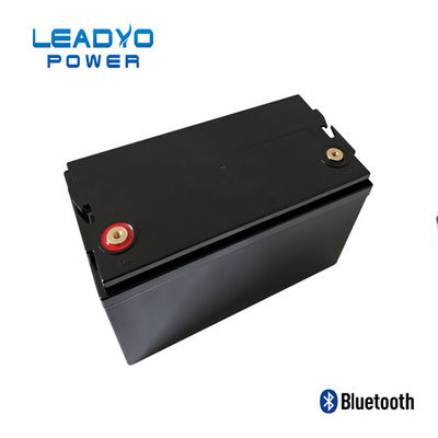 LEADYO BMS Marine Lifepo4 배터리 12V 100amp 플라스틱 나사식 케이스