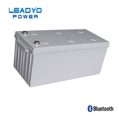 주문 각자 난방 기능을 가진 BMS 12V 200Ah 추운 날씨 리튬 전지 온라인 제품