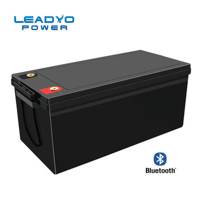 좋은 가격 주문품 BMS를 가진 12V 300Ah 리튬 철 Lifepo4 깊은 주기 건전지 온라인으로